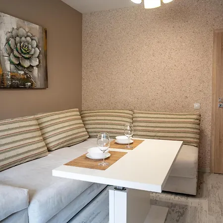 Apartment Elegant Spotless In Center *